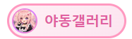 야동갤러리