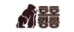 토토킹콩