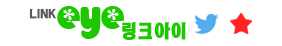 링크아이